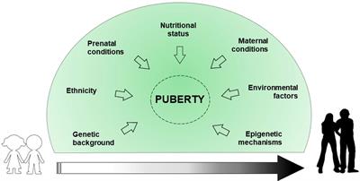 Genetic, epigenetic and enviromental influencing factors on the regulation of precocious and delayed puberty